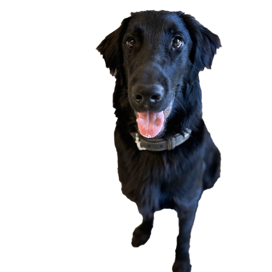 Watson